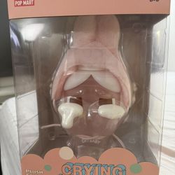 Cry Baby Plush Straw Cup