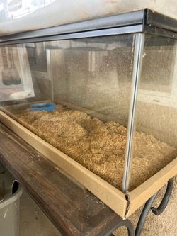 Reptile tank