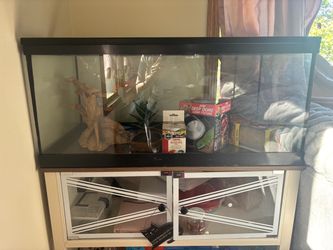 Reptile Tank