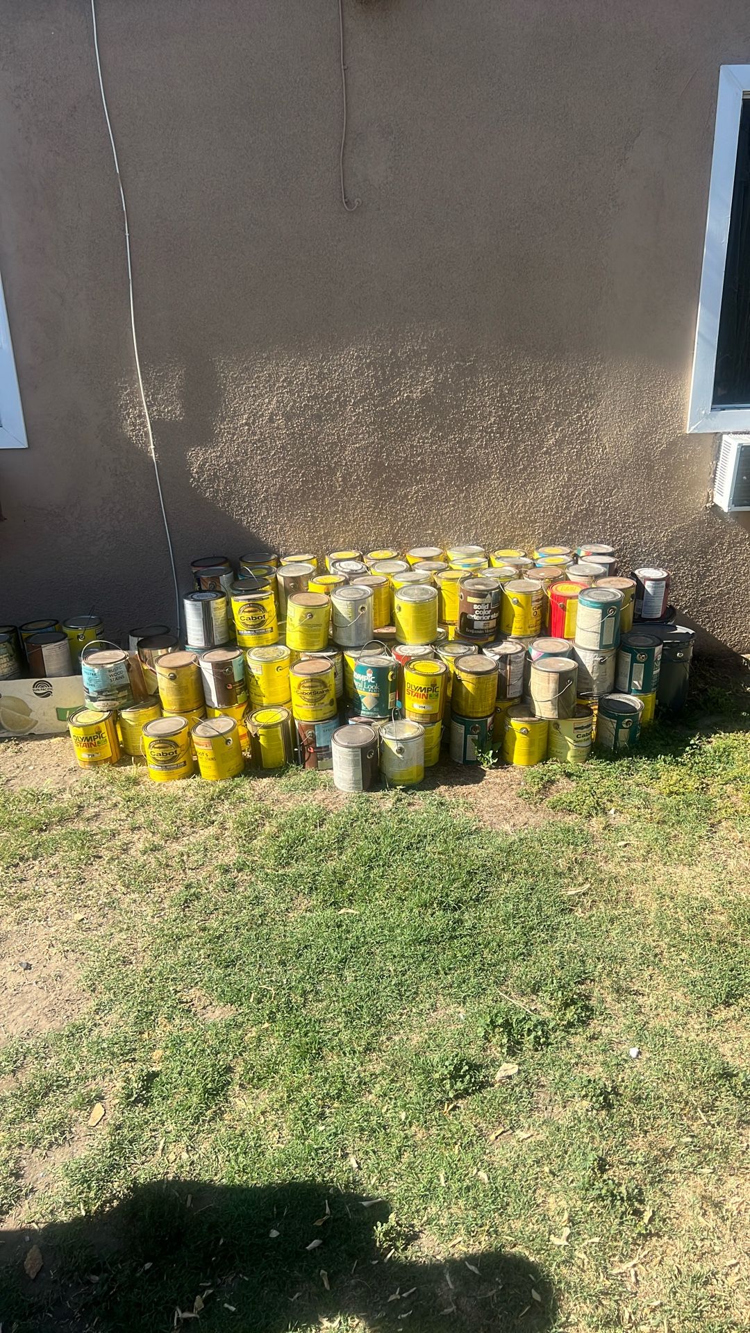 Oil Paint Best Offer