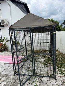 Dogs caged