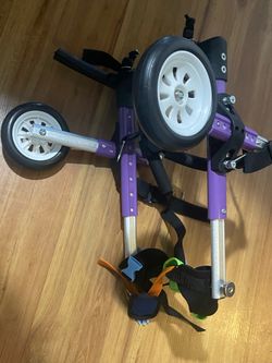 Dog Mobility Wheelchair for Back Legs