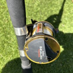 Daiwa Sealine And Rod 