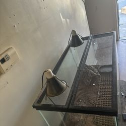 Animal Tank Could Use For Fish’s 