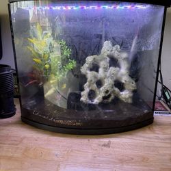 Fish Tank Aquarium 