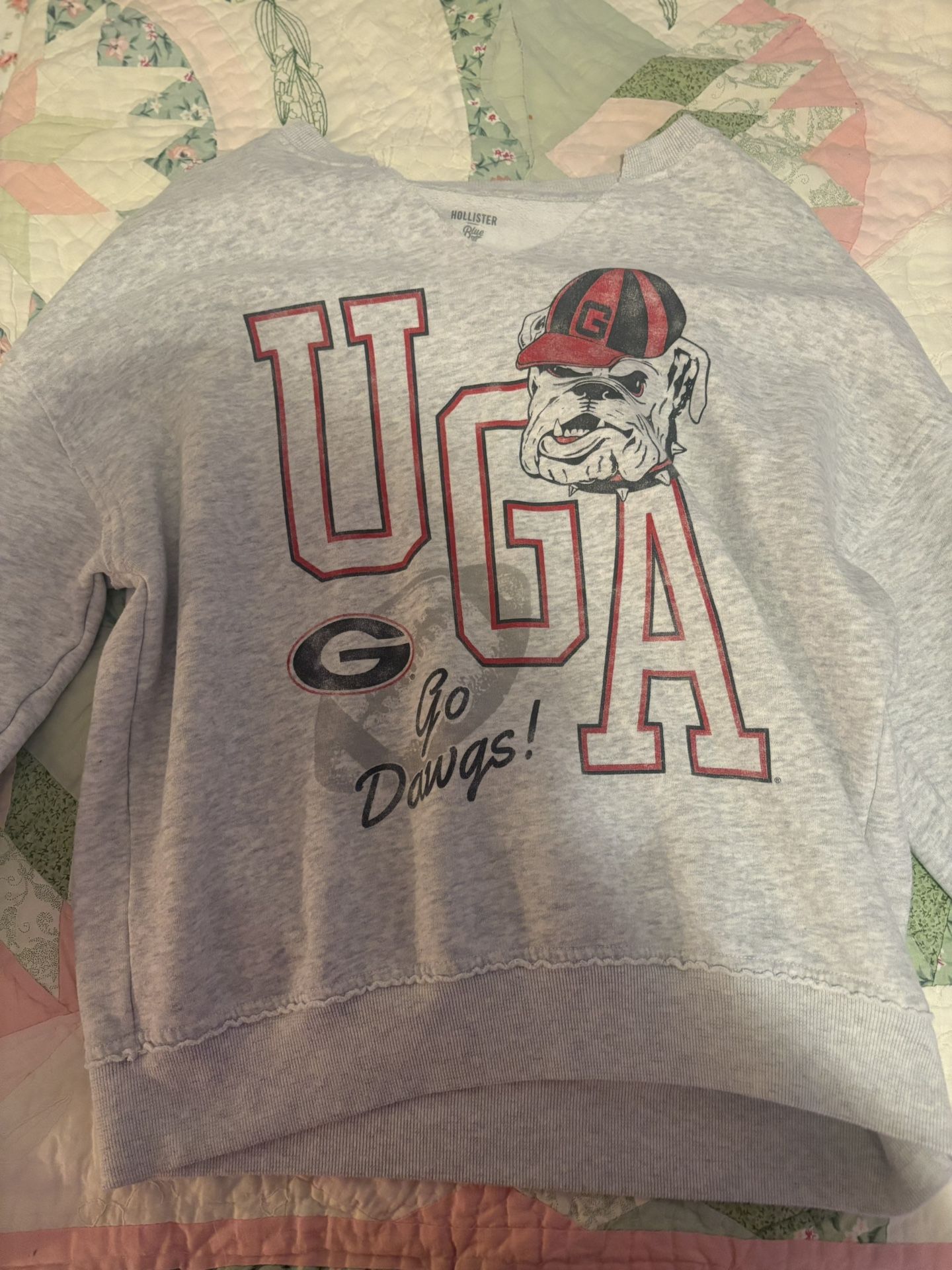 hollister UGA sweatshirt