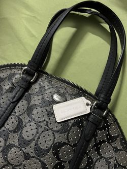 Coach Hands Bags 