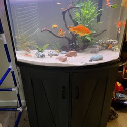 36 Gallon Bow Front Aquarium Lightly Used