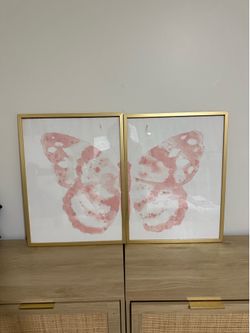 Butterfly Art & Frames