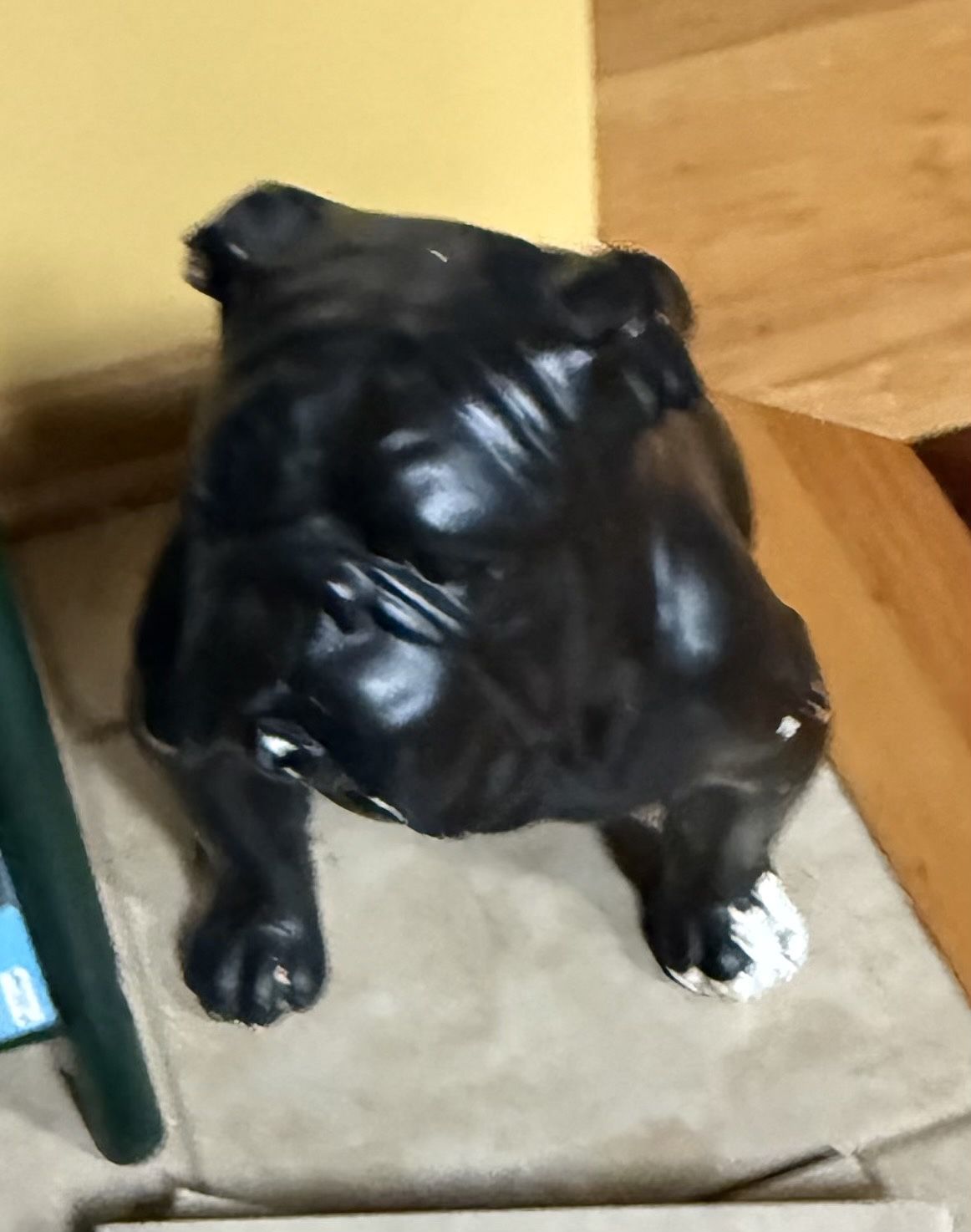 Bull Dog Floor Statue