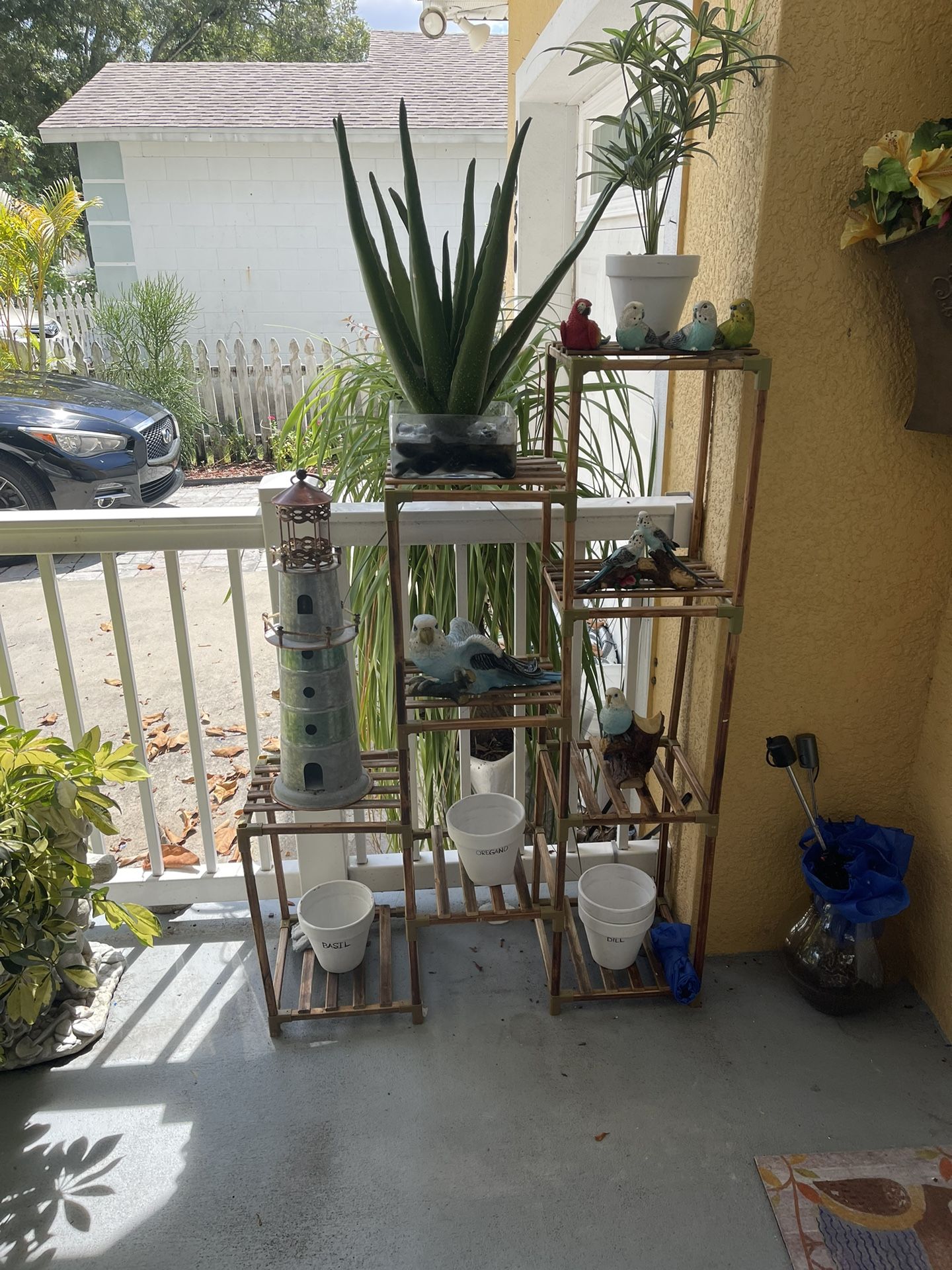 Plant Holder/Plants