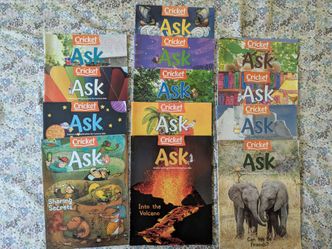 Books- Cricket magazines, diary of wimpy kid, Kumon, Singapore math, DK life stories etc
