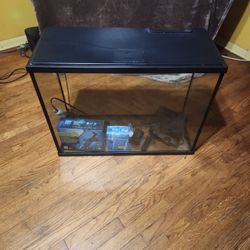 Fish Aquarium