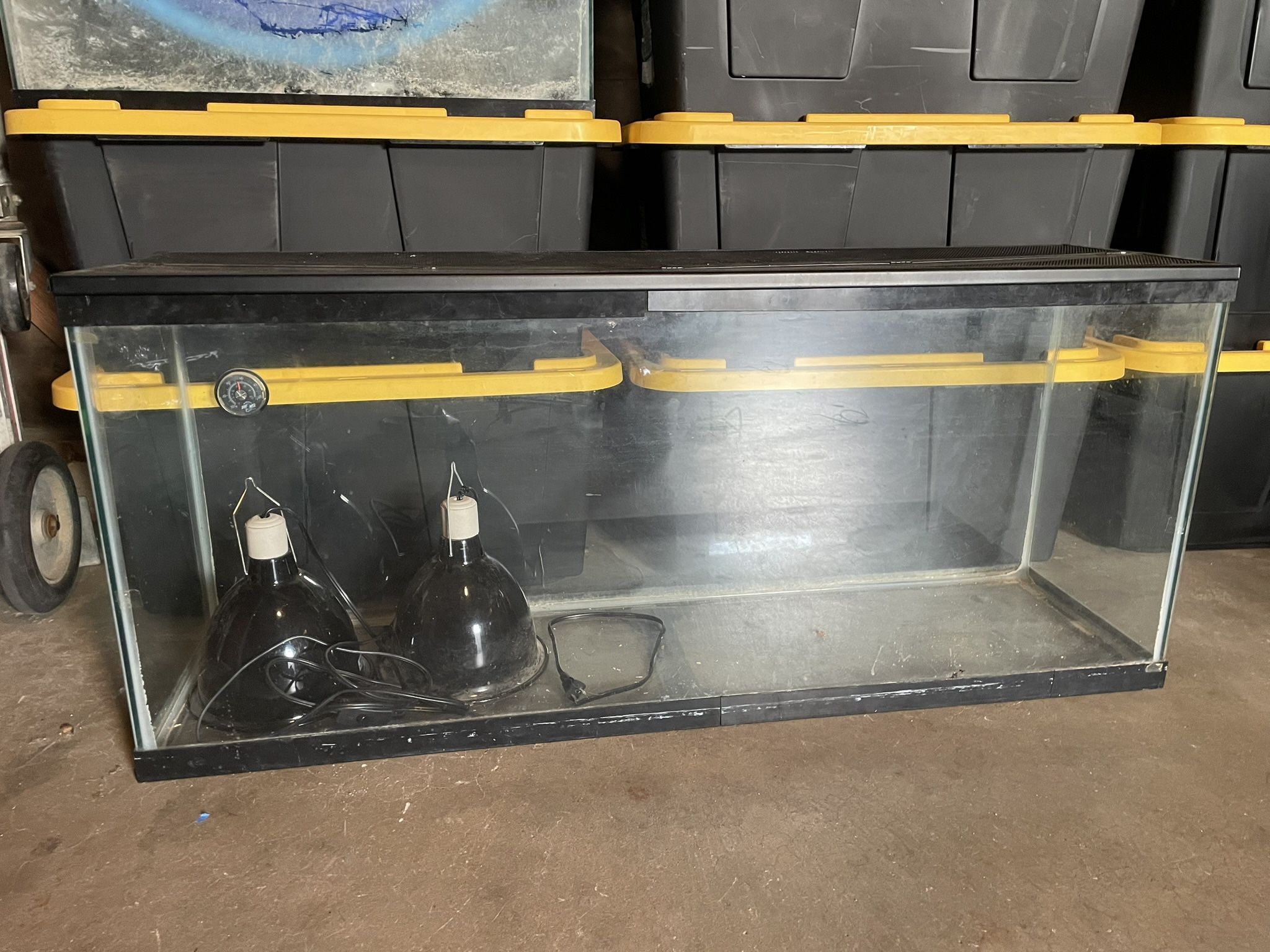 Fish Tank