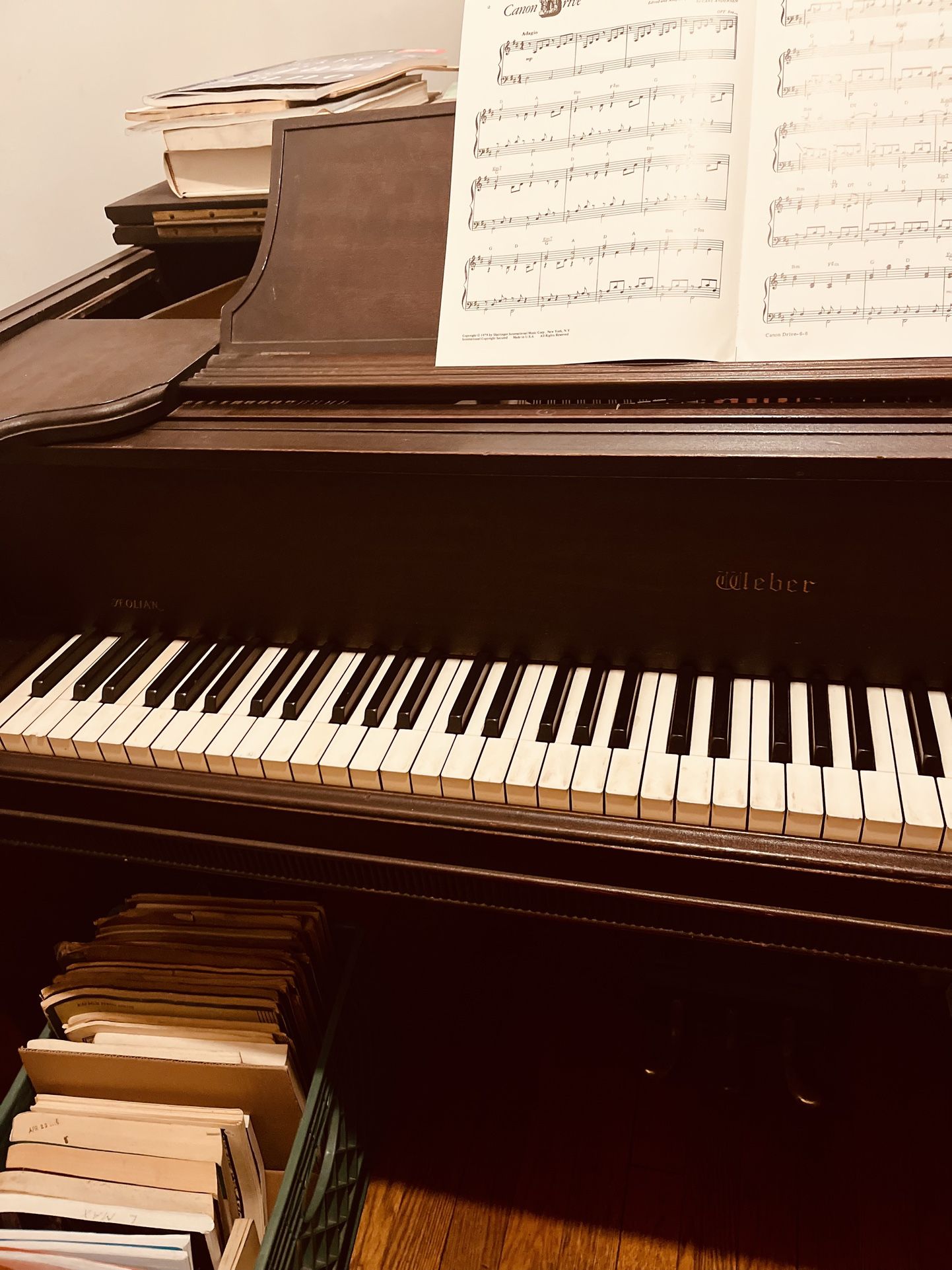 Baby Grand Piano w/ Bench – Great Tone – $500