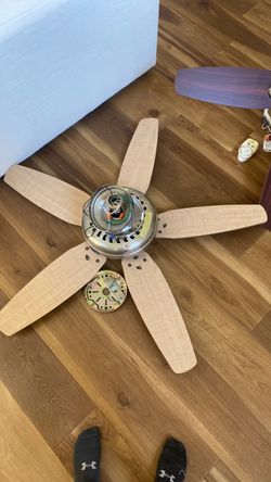 Hampton Bay Fan (no light)