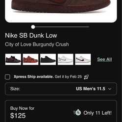 2 pairs of nike sb dunks