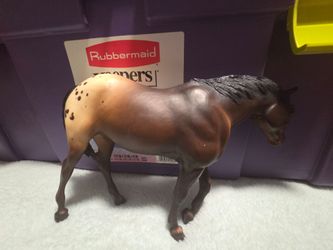 Vintage appaloosa