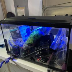 10 Gallon Fish Tank W/ Accessories and Decorations 