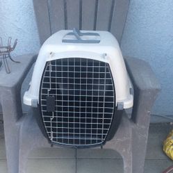 Pet Transport