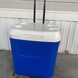 Cooler Igloo Brand 