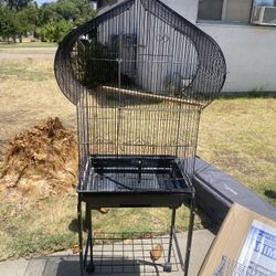 Bird Cage