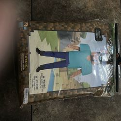 Steve Costume