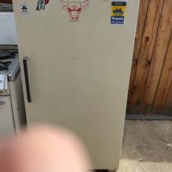 Vintage Freezer 