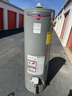 rheem performance platinum