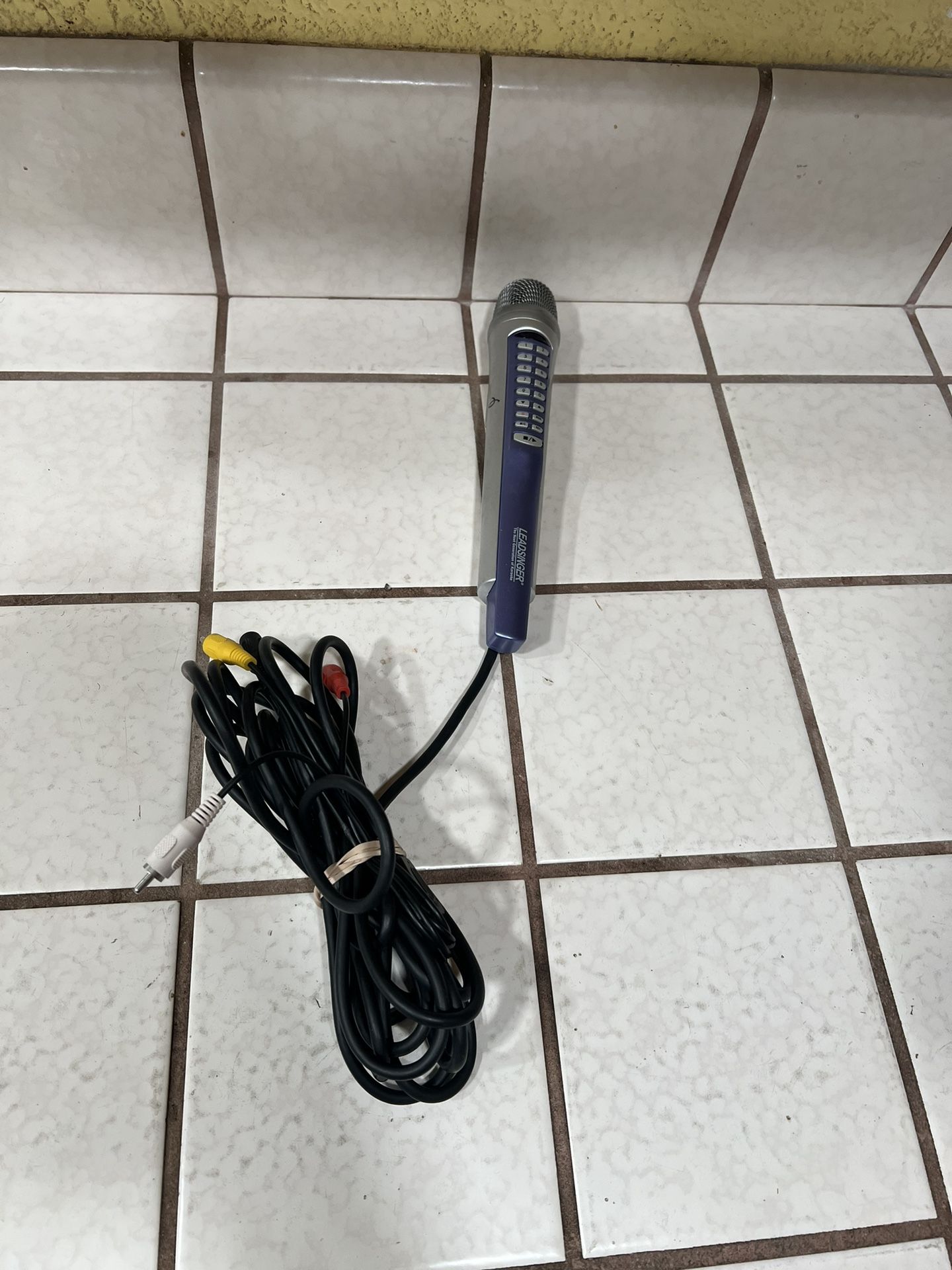 Leadsinger Microphone