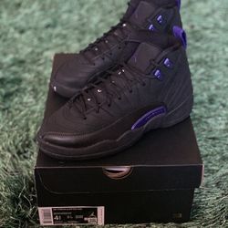 Jordan 12 Concord Size 4y Brand New DS