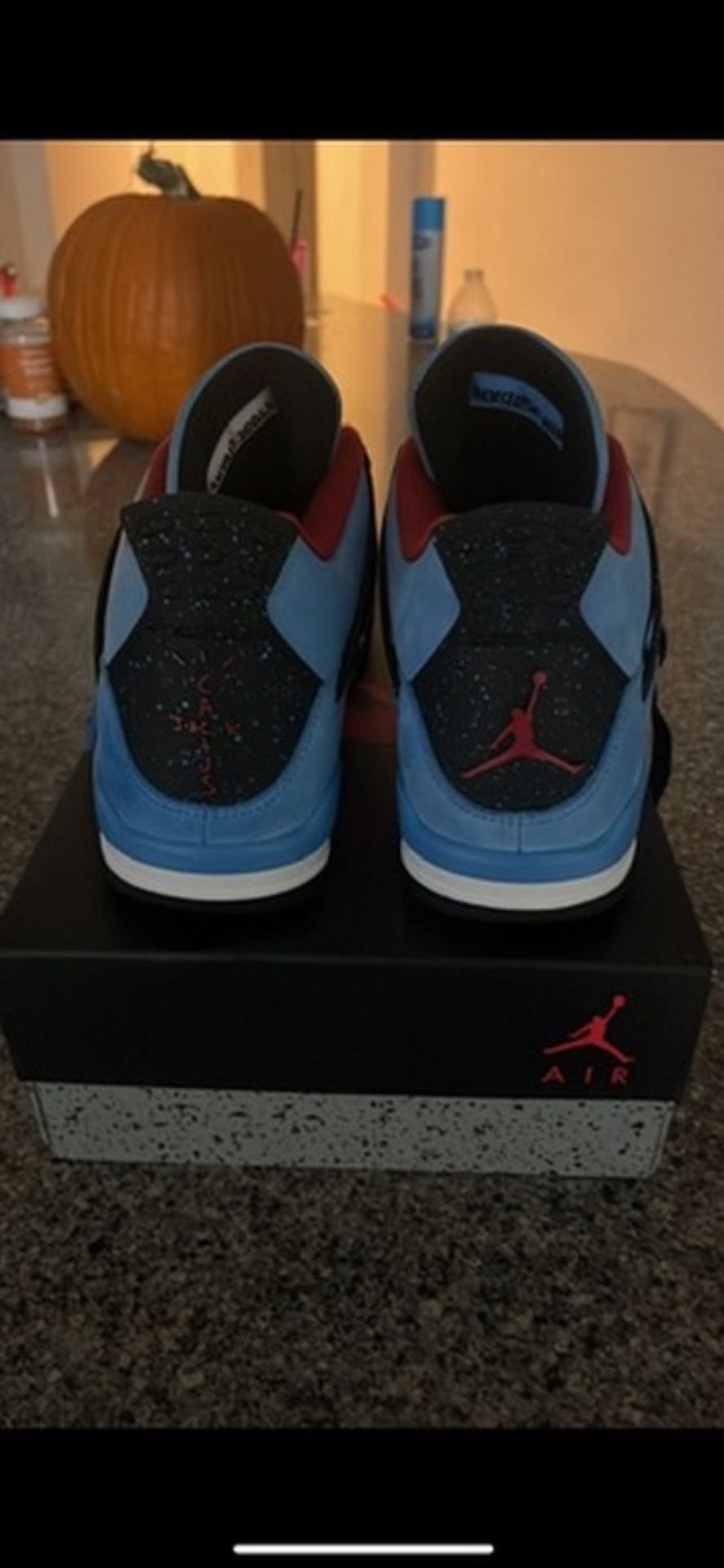 Travis Scott Jordan 4s