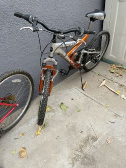 Mountain Bike