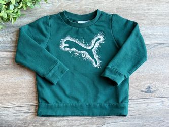 Puma Green Graphic Sweatshirt Size 3T