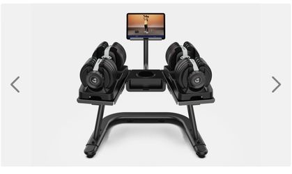 BowFlex  552 Adjustable Dumbbell Set with Stand