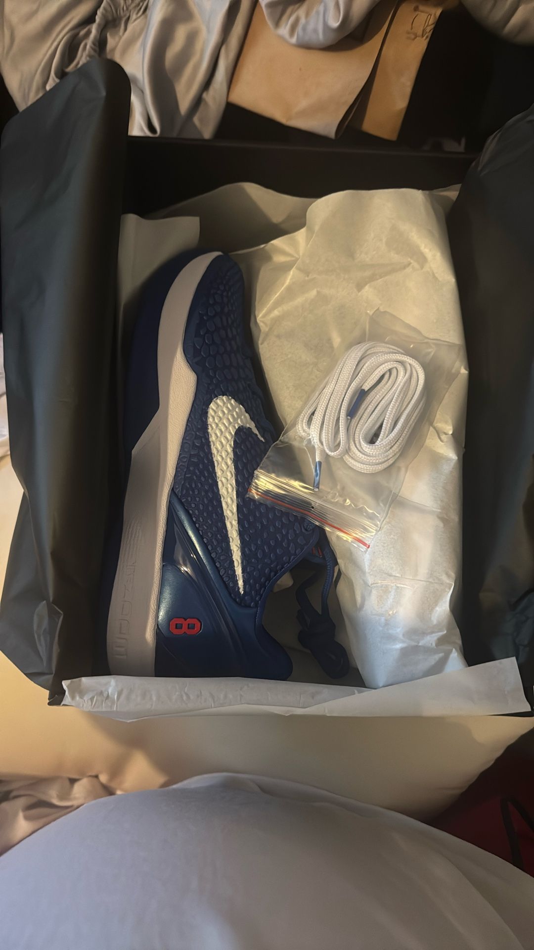 Nike Protro 6 Dodgers