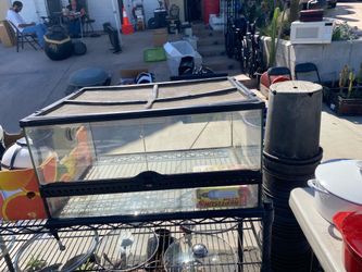 Reptile Tank (turtle, lizard, iguana, snake, etc)