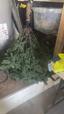 Free Christmas tree