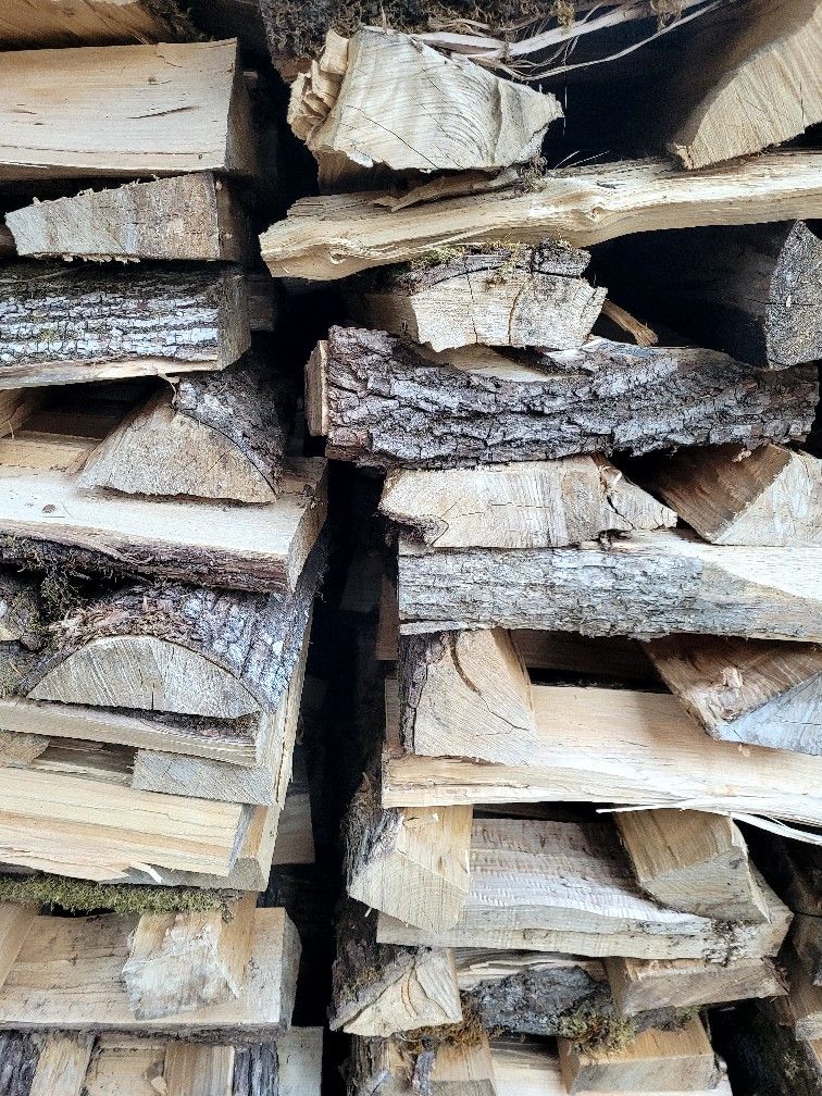 Seasoned Maple 1/2 Cord