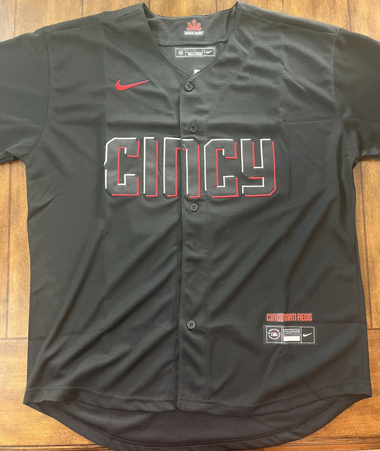 Elly De La Cruz #44 Cincinnati Reds City Connect Large Jersey