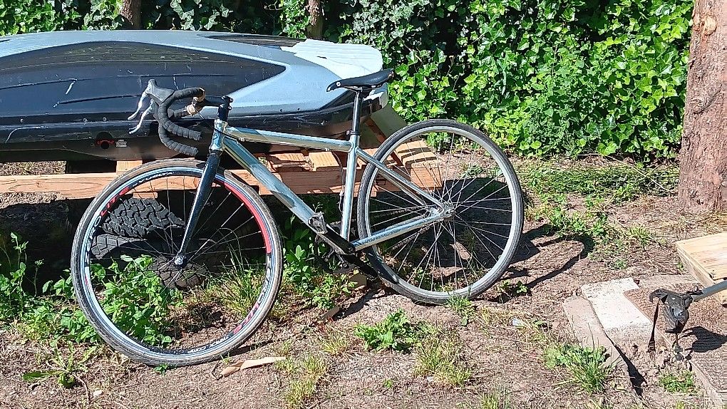 Giant Fixie