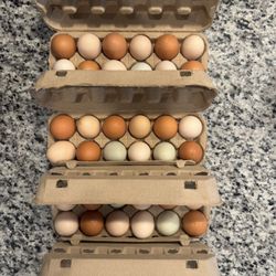 Dozen Farm Fresh
