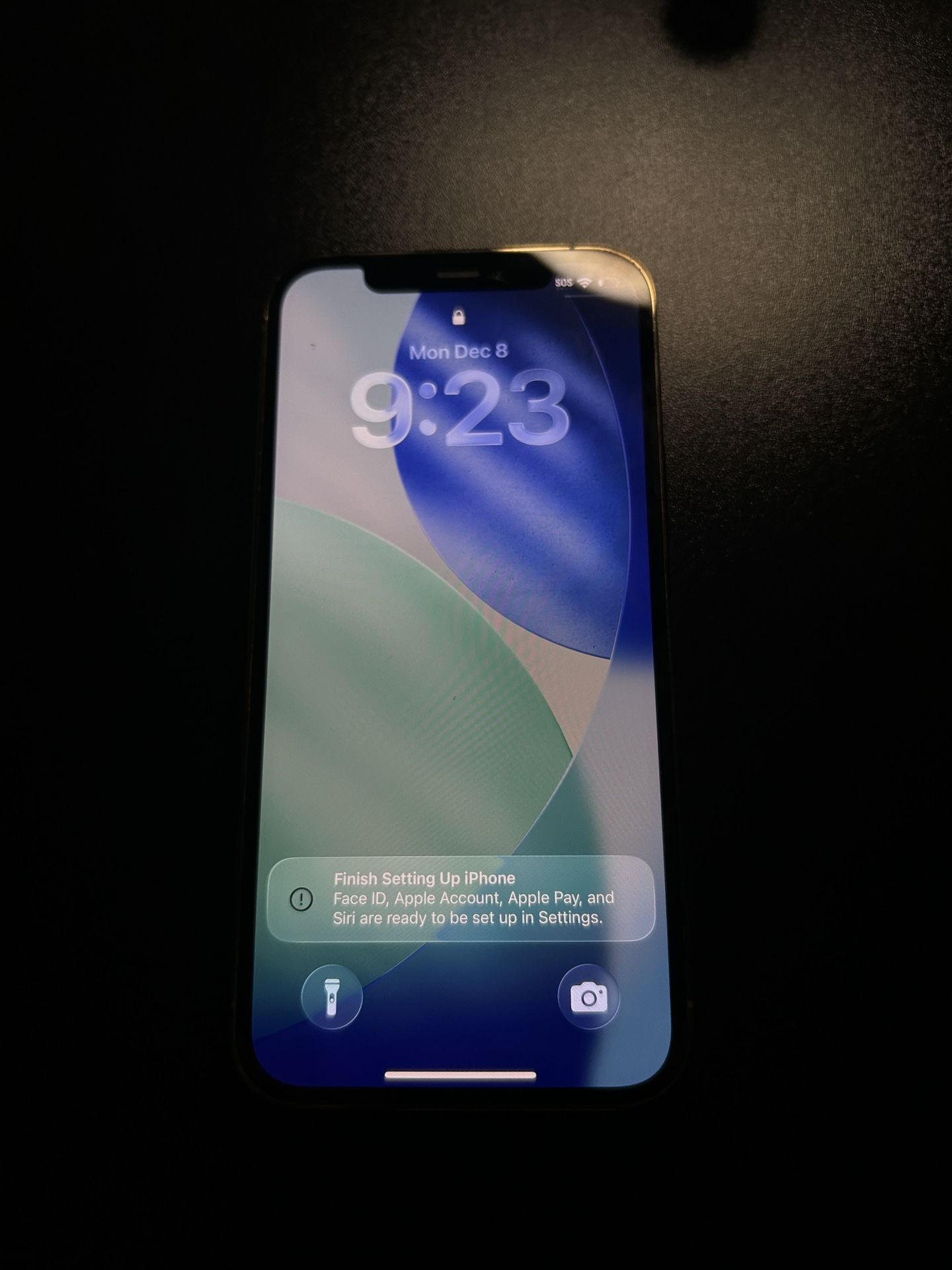 iPhone 12 Pro Unlocked 