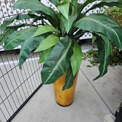 Ceramic Pot With Plant