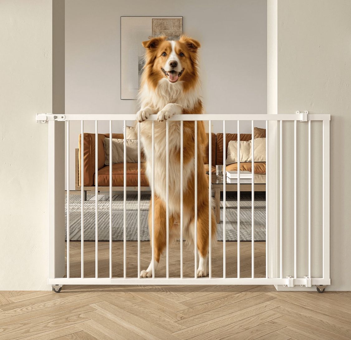 Dog Gate