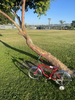 1973 Schwinn Pixie 16in