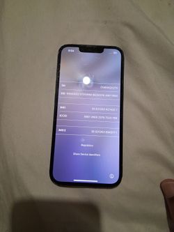 Apple iPhone with Cracked Screen