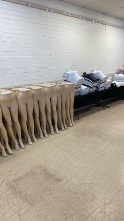 Manikin