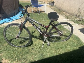 Schwinn Bike