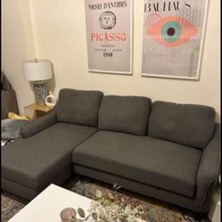 MOVING OUT- Section/Sleeper Sofa